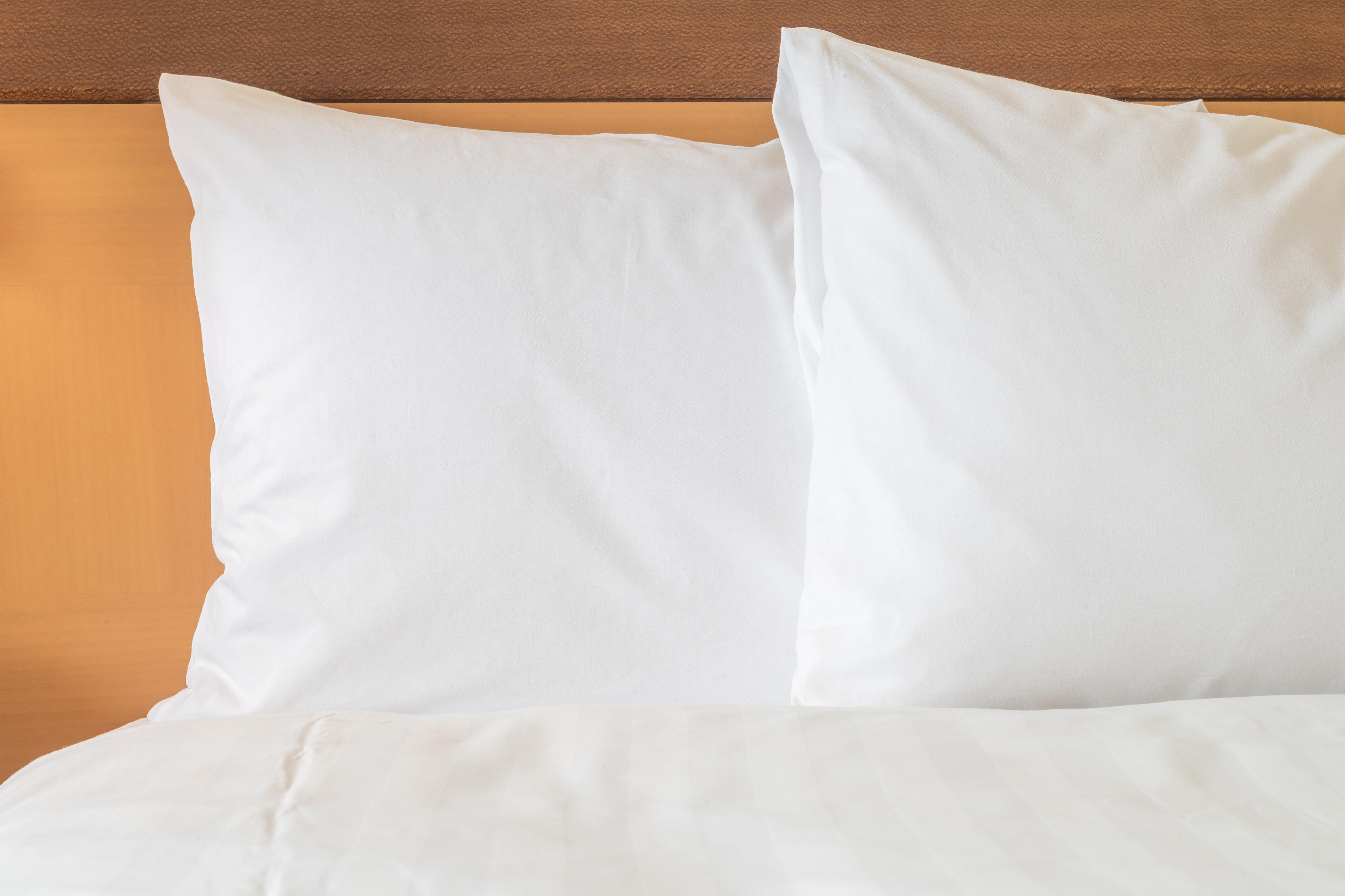 Holiday Inn Alexandria - Downtown By Ihg Extérieur photo